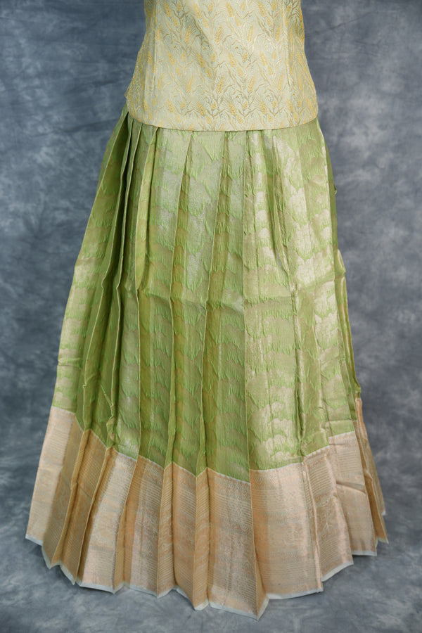 Green and beige traditional dress on a gray background