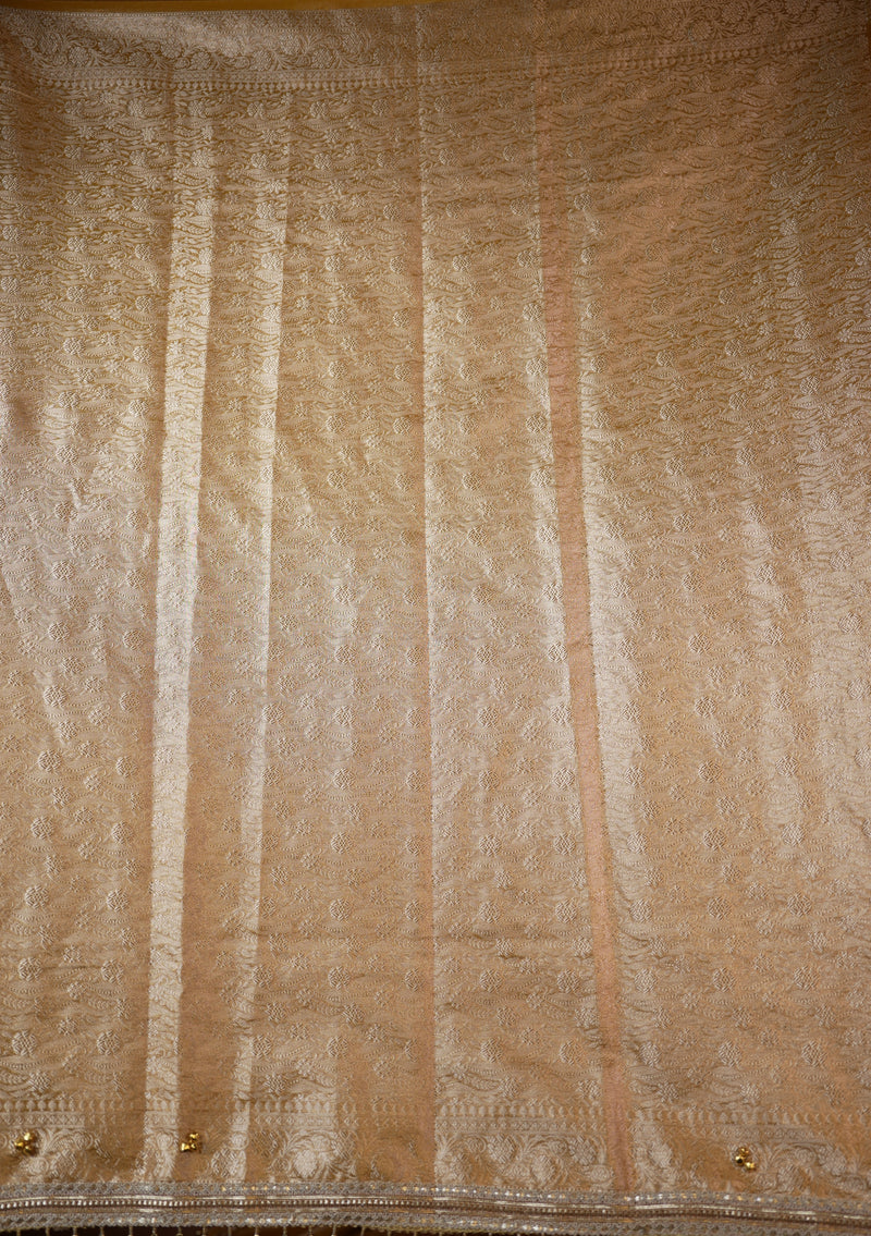 Organza Tissue Saree | Champagne Gold with Silver Zari Woven Border & Gold Bead Lace | Wedding & Festive Wear