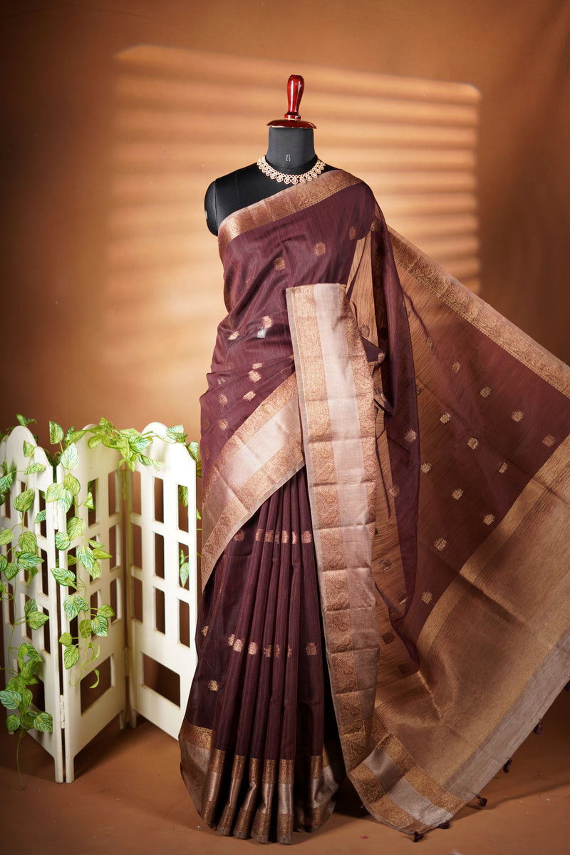 Coffee Brown Kora Cotton Saree | Antique Gold Zari Border | Dry Clean Festive Wear