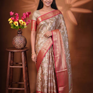 Tissue Sarees